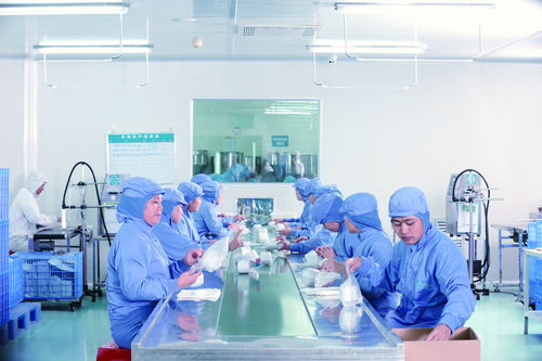 化妆品企业为何选择OEM代加工？——以思特集团广州索柔为例