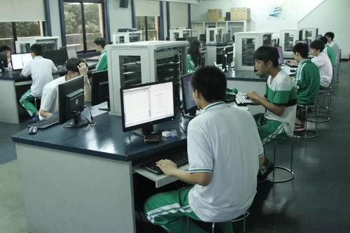 实习汇报 网络信息技术服务实践与成长